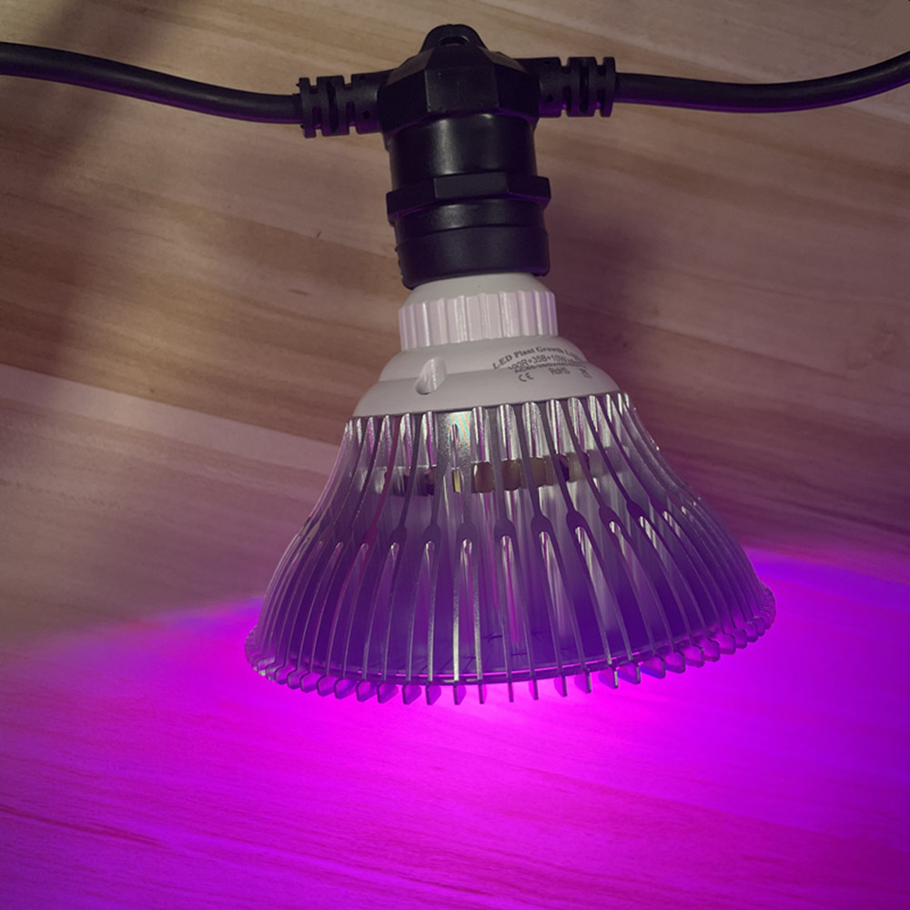 10M Kablo LED Dize Işık Zincir - Lighting Decor Ideas incelemesi ve fiyatı