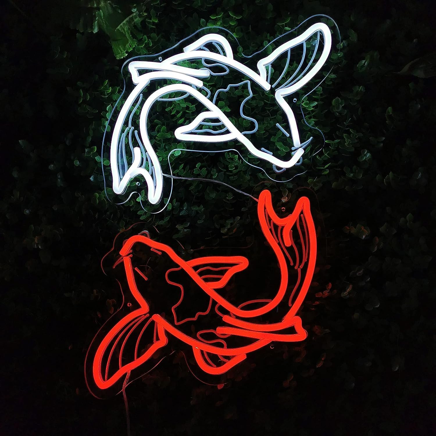 Koi Balığı Neon Tabela USB LED - Japanese Lighting Decor incelemesi ve fiyatı