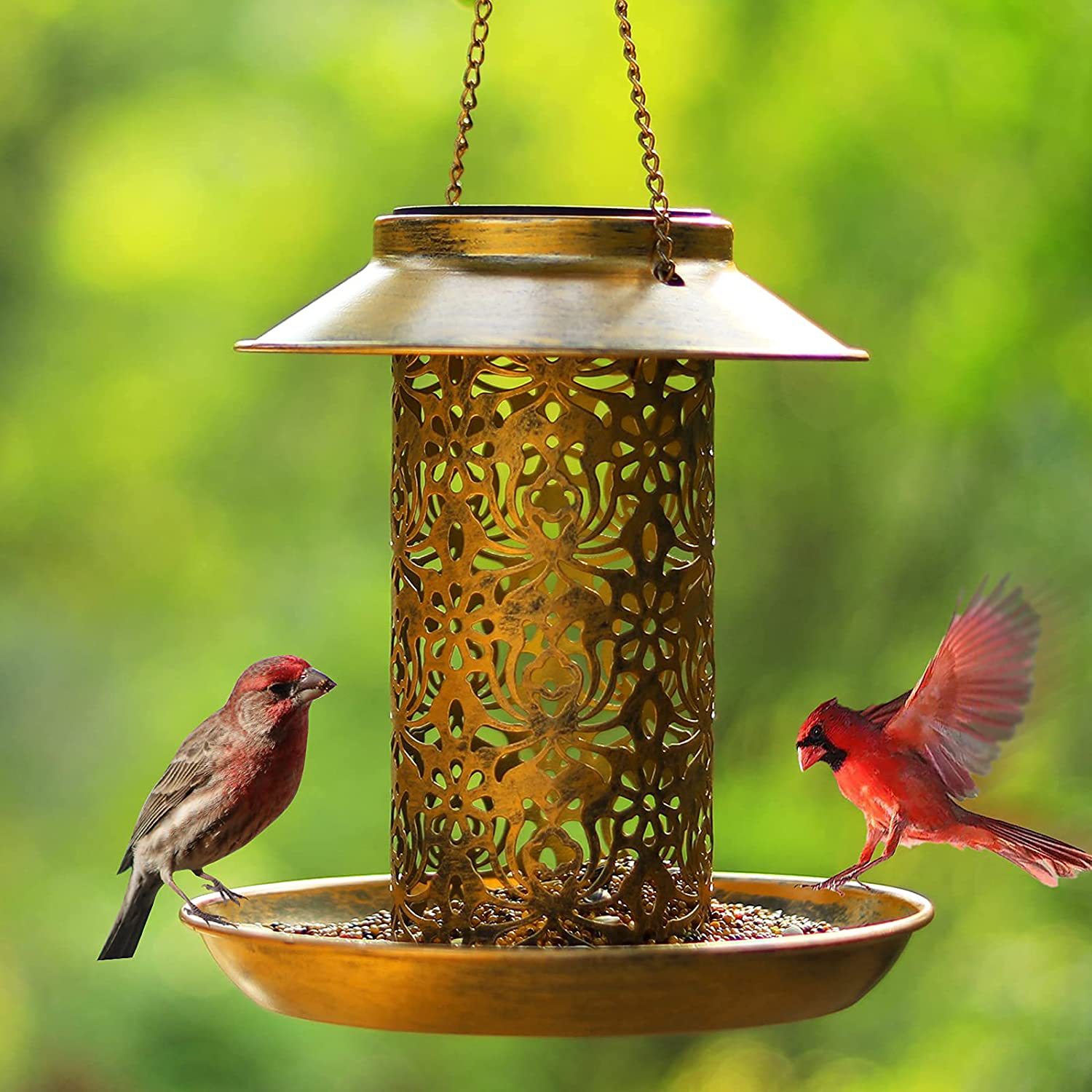 Asılı Kuş Evi Metal Açık Havad - Outdoor Lighting Decor Ideas incelemesi ve fiyatı